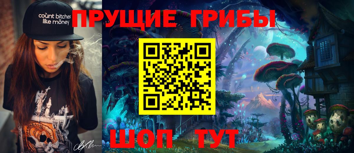 Псилоцибиновые грибы Psilocybine cubensis  Галлюциногенные грибы GOLDEN TEACHER  Александров  Вход с VPN 